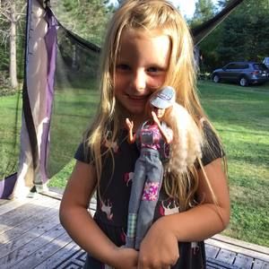 Meet your Posher, Marjorie